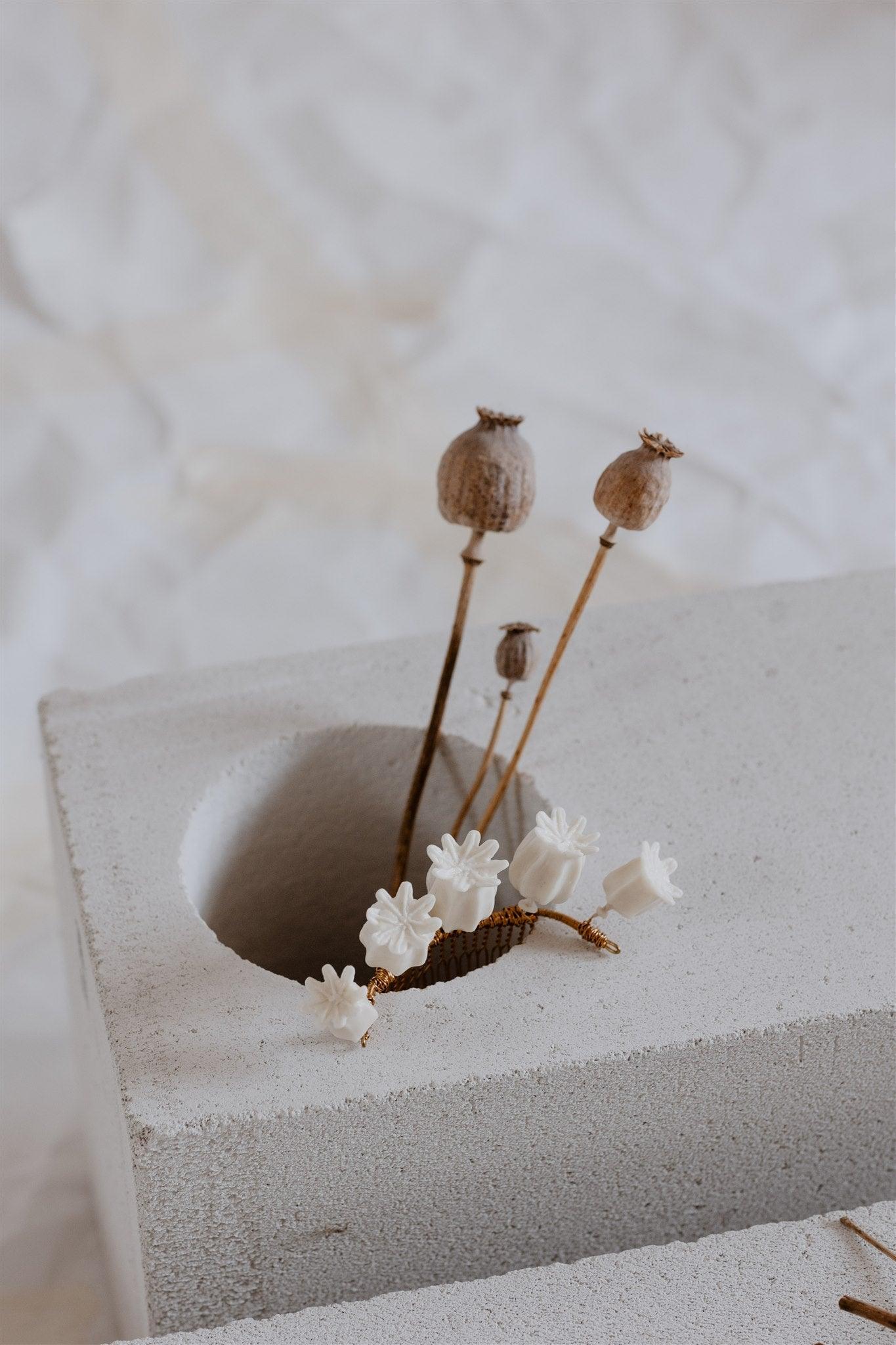 Peigne Capsules d’Extase