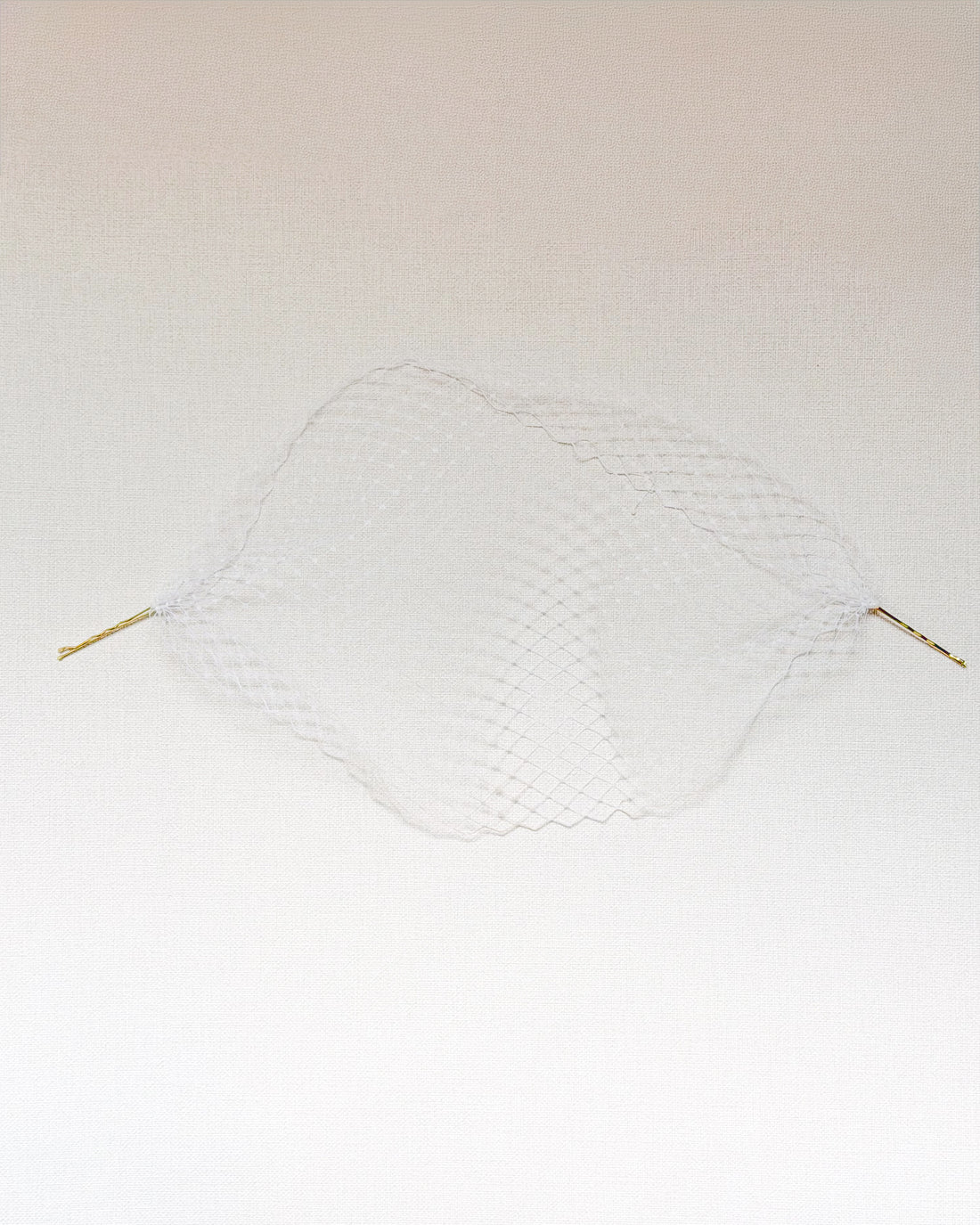 Birdcage Veil