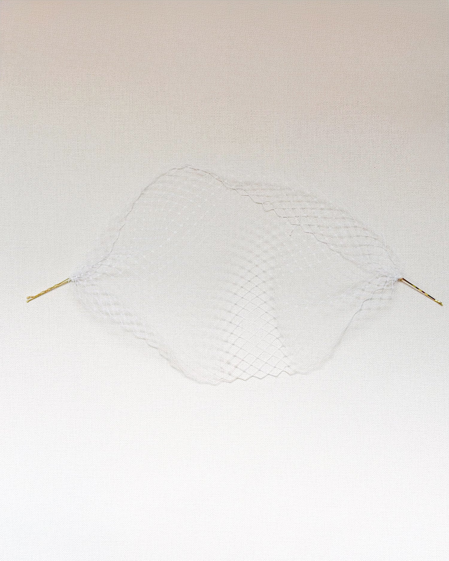 Birdcage Veil