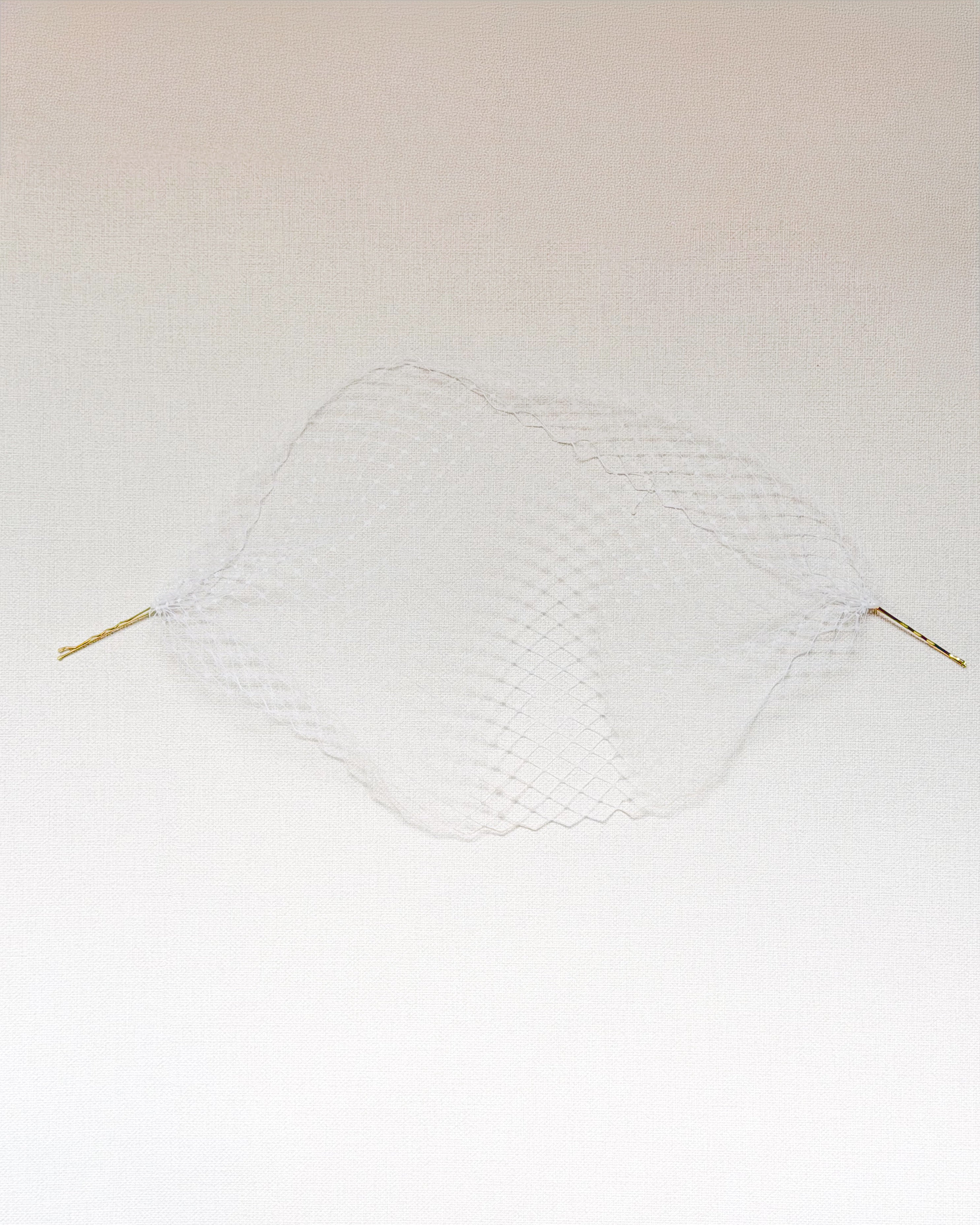 Birdcage Veil